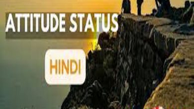 Attitude Status In Hindi