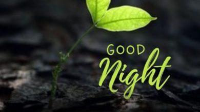 Good Night Quotes In Hindi English